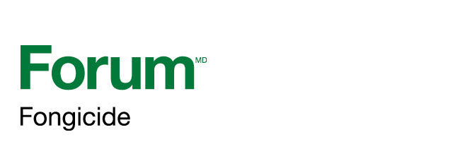 Forum logo